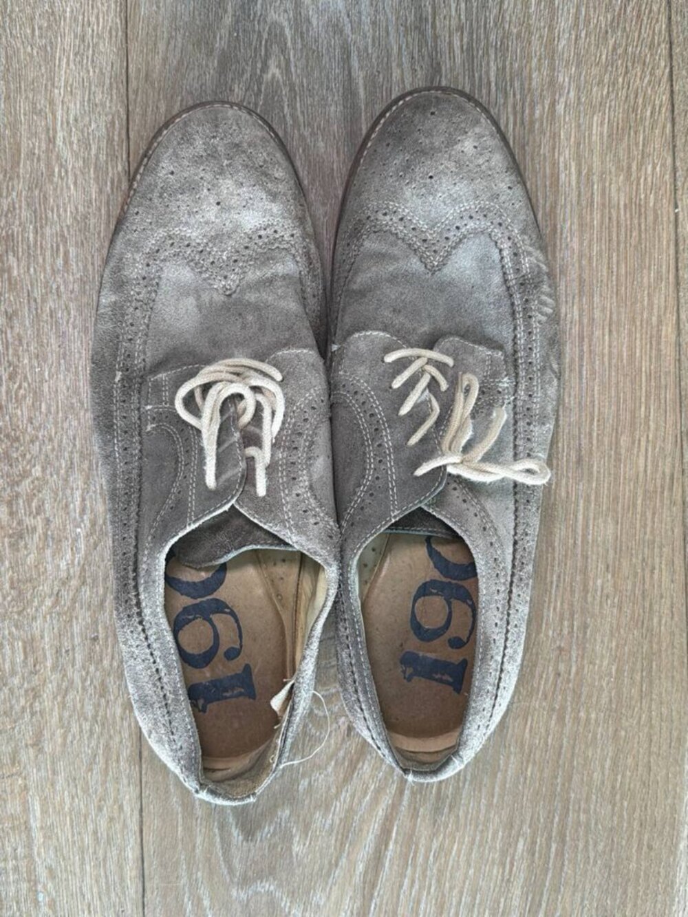 1901 Gray Suede Wingtip Oxfords Men's 14M - Lightly Used - Picture 8 of 8